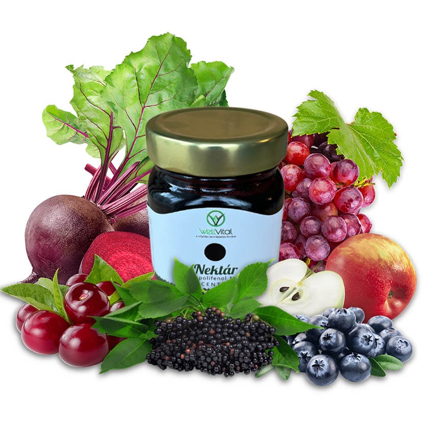 nektar koncentratum shop 2023 - WellVital